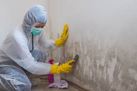 Best Industrial Mold Remediation  in Addis, LA